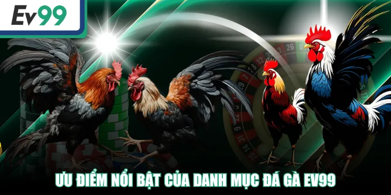 Ưu điểm nổi bật của danh mục Đá Gà EV99